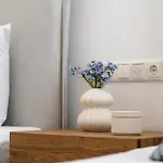 Villa Elaia Retreat Naxos